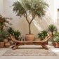 Branch Harmony – Sculptural Solid Wood Garden Bench with Branch-Inspired Frame